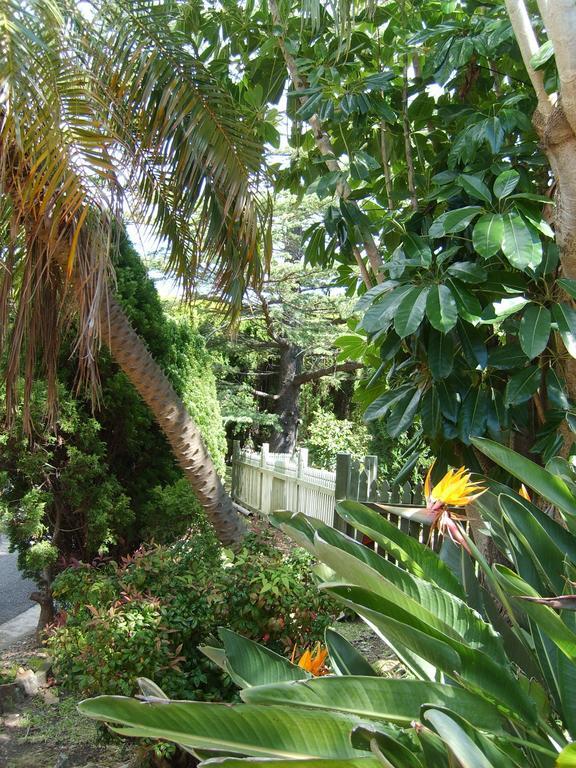 Tantarra Guest House - Pet Friendly Warners Bay Ngoại thất bức ảnh